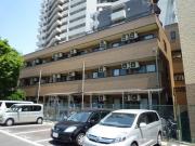 JC SOUTH SHIKI 2932