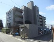 都営大江戸線光が丘駅まで徒歩13分