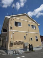 テラスハウス腹福