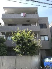 定期借家2年再契約可能 MSーMIYASHITA JZ