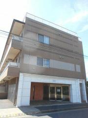 DOMUS