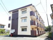 Maison Ami