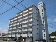 徳島県鳴門市撫養町大桑島字濘岩浜