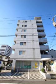 パステルクボ15