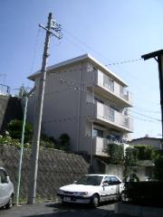 シャンドールホワイト中駒