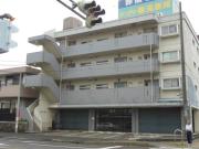 アドニス9