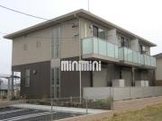 コーラルレーヴ