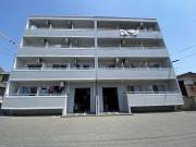 ZAKI Building NO5