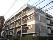 都営大江戸線光が丘駅まで徒歩11分