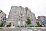 JP noie 円山表参道