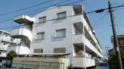 柴マンション南