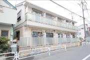 リリックコートサンフラワー