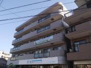 グリシーナ・TT