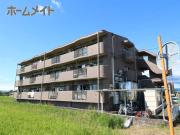 レインボーソシア