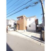 ラナンキュラス2