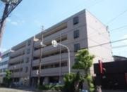 南海高野線白鷺駅まで徒歩5分