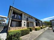 セルリアンコート