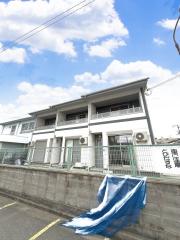 レインボー花山