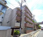 スカイコートパレス溝の口