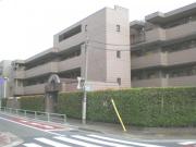西武池袋・豊島線中村橋駅まで徒歩5分