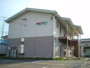 ルピナス5