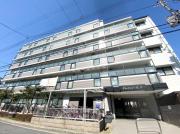 グレイシィーK・Y