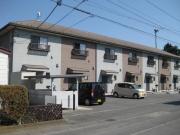 DUPLEX PURE II
