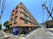 シロハイヌ吉田