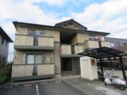 グレイスフルY