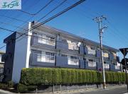 Oryza西古松