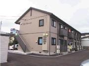 ソフトハーモニーB