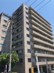 Daiwa Grance Maison 大島I