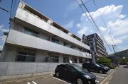 クローバー白島
