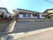 丘の春風とマリーゴールド