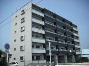 Y′s Court