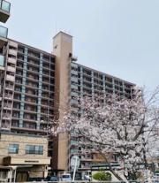 ダイアパレス文理大南弐番館