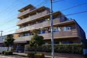 CASSIA市川妙典