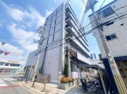 EIGHT SHIROKITAII