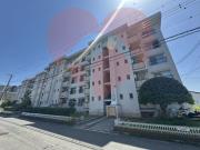 上野芝A団地2号棟