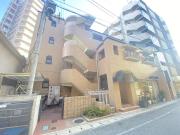 ハイコート甲子園