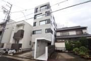 COZY菊井