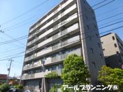 パインエクセレント