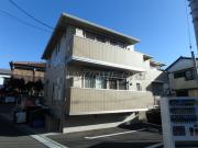 シトロン