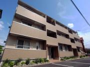 ステラ平野屋