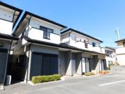 メイプルトゥリー