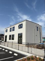 Carino下有知