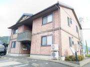 ウィルモア山泉