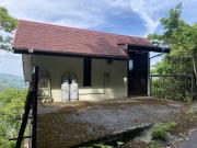 ブルーツリー戸建