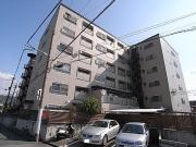 コボリクラスタ花屋敷
