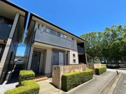 セルリアンコート